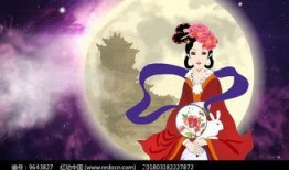 嫦娥爆料最新视频大全播放,揭秘月球奥秘，探索宇宙奇观